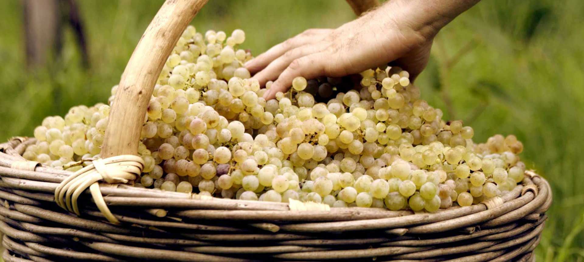 QUALITÉ EXCEPTIONNELLE